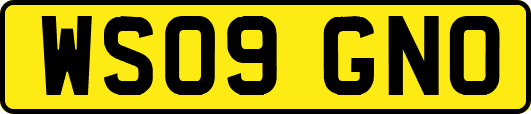 WS09GNO