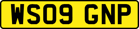 WS09GNP