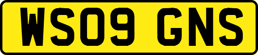 WS09GNS