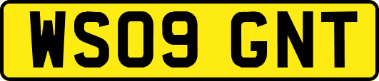 WS09GNT
