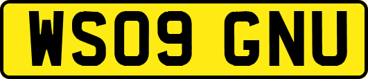 WS09GNU
