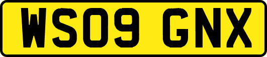 WS09GNX
