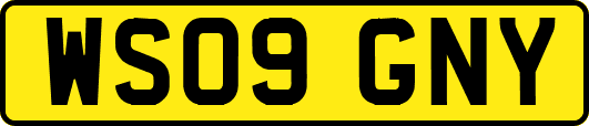 WS09GNY