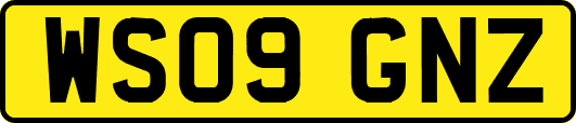 WS09GNZ