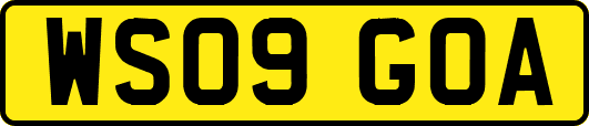 WS09GOA