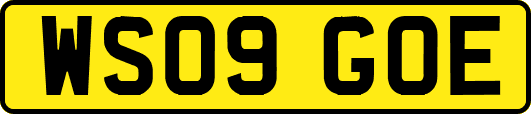 WS09GOE