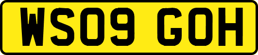 WS09GOH