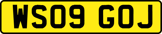 WS09GOJ