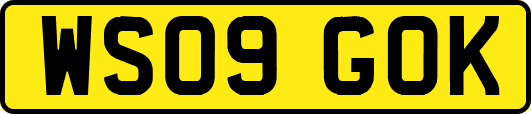 WS09GOK