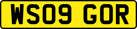WS09GOR