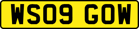 WS09GOW
