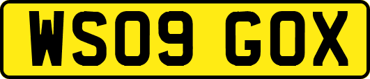 WS09GOX