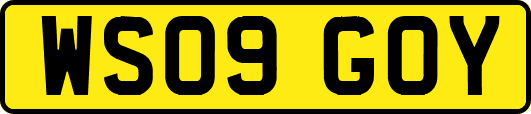 WS09GOY