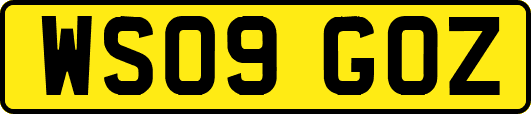 WS09GOZ