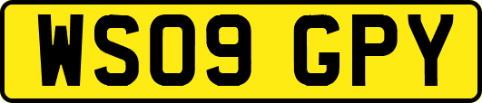 WS09GPY