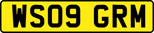 WS09GRM