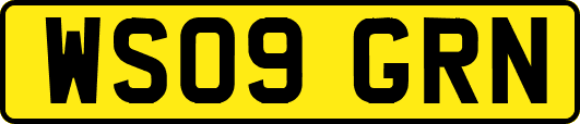 WS09GRN