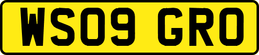 WS09GRO