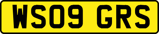 WS09GRS