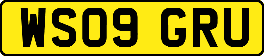 WS09GRU