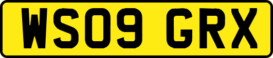 WS09GRX