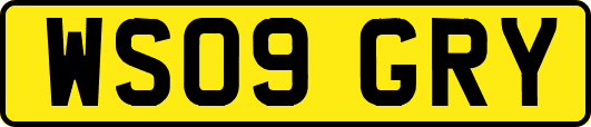 WS09GRY
