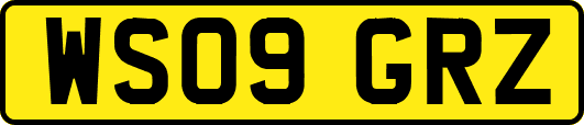 WS09GRZ