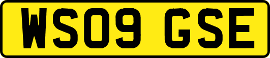 WS09GSE