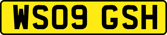 WS09GSH