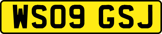 WS09GSJ