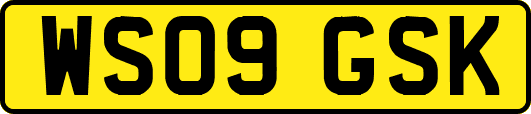WS09GSK