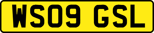 WS09GSL