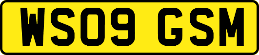 WS09GSM