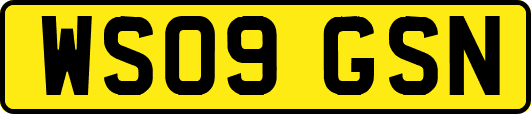 WS09GSN