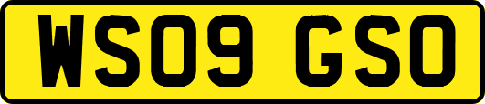 WS09GSO