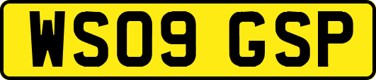 WS09GSP