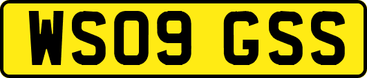 WS09GSS