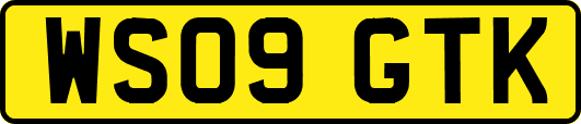 WS09GTK