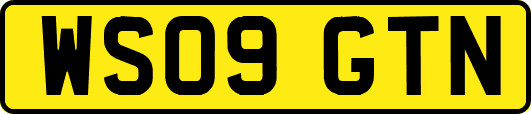 WS09GTN