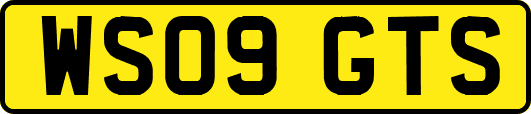 WS09GTS