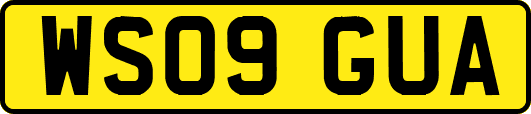 WS09GUA