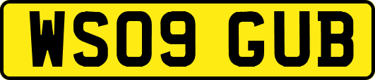 WS09GUB
