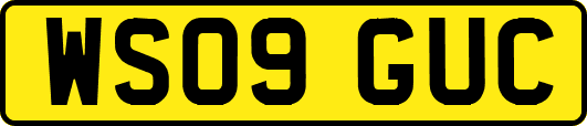 WS09GUC