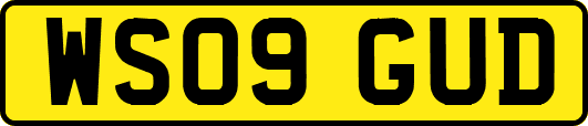 WS09GUD
