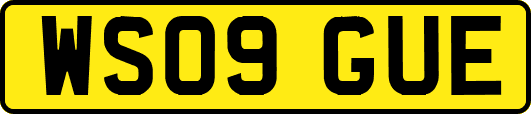 WS09GUE