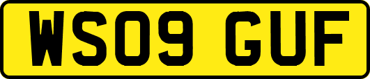 WS09GUF