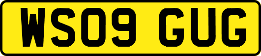 WS09GUG