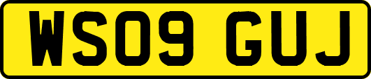 WS09GUJ