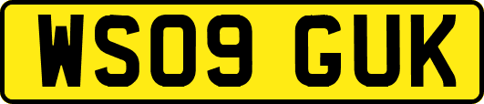 WS09GUK