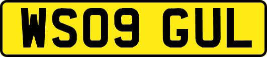 WS09GUL